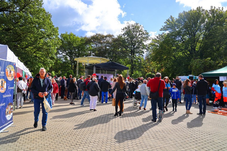 Piknik z okazji 140-lecia szpitala Jonschera