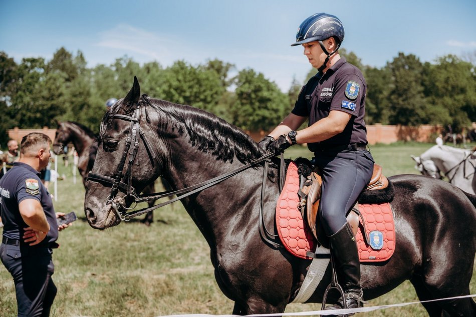 Międzynarodowy Turniej Mundurowych Formacji Konnych