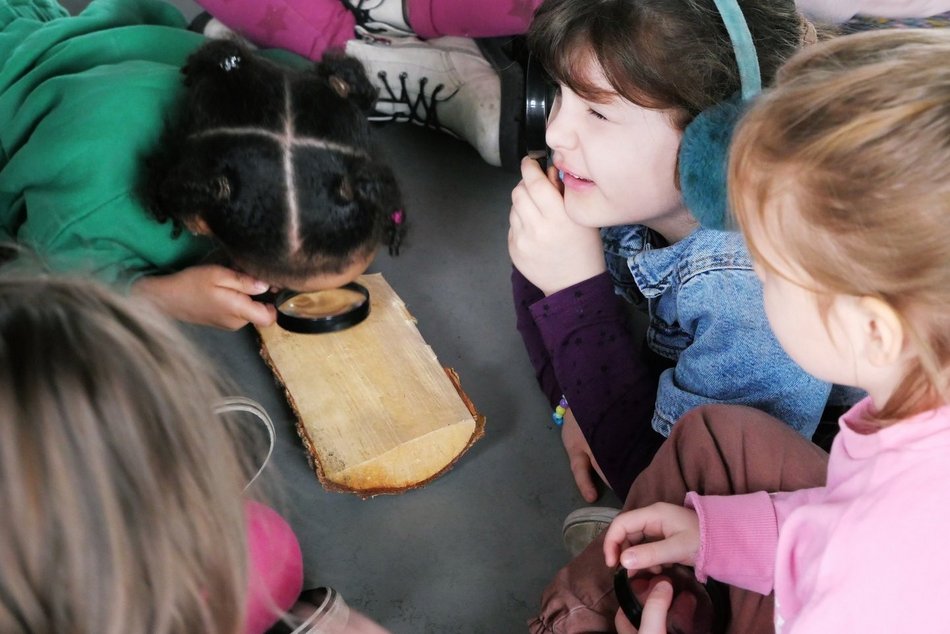 Co robić po szkole w Łodzi? Bogata oferta zajęć pozaszkolnych dla dzieci