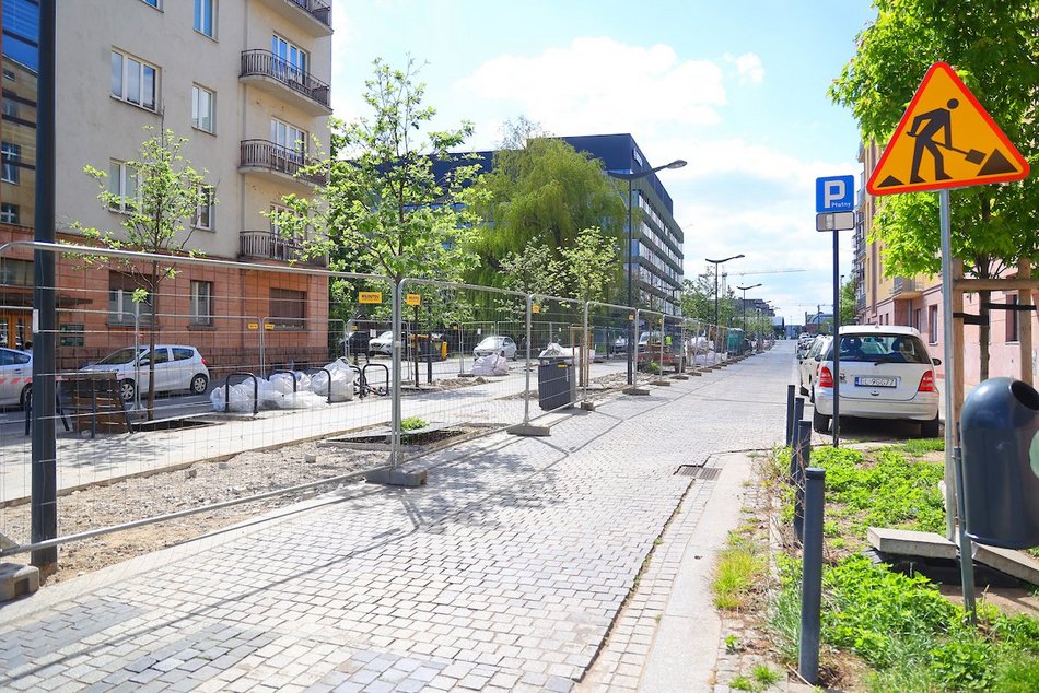 Łódź. Więcej zieleni w centrum! Zamiast betonu będą kolorowe byliny, krzewy i piękne rabaty