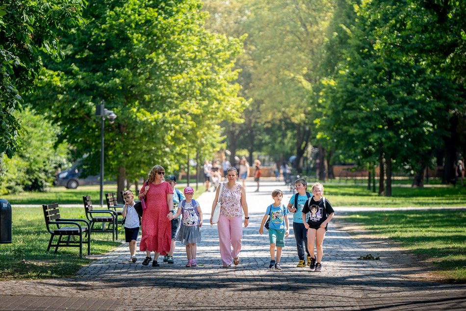 Spacerem po rzece Łódce. Wybierz się na przechadzkę szlakiem stawów i parków