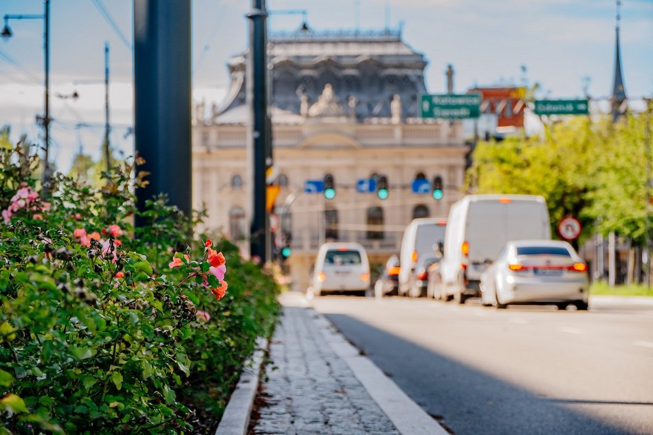 Łódź. Wrzesień w Łodzi potrafi zaskoczyć! Miasto wciąż tętni kolorami i zapachem kwiatów