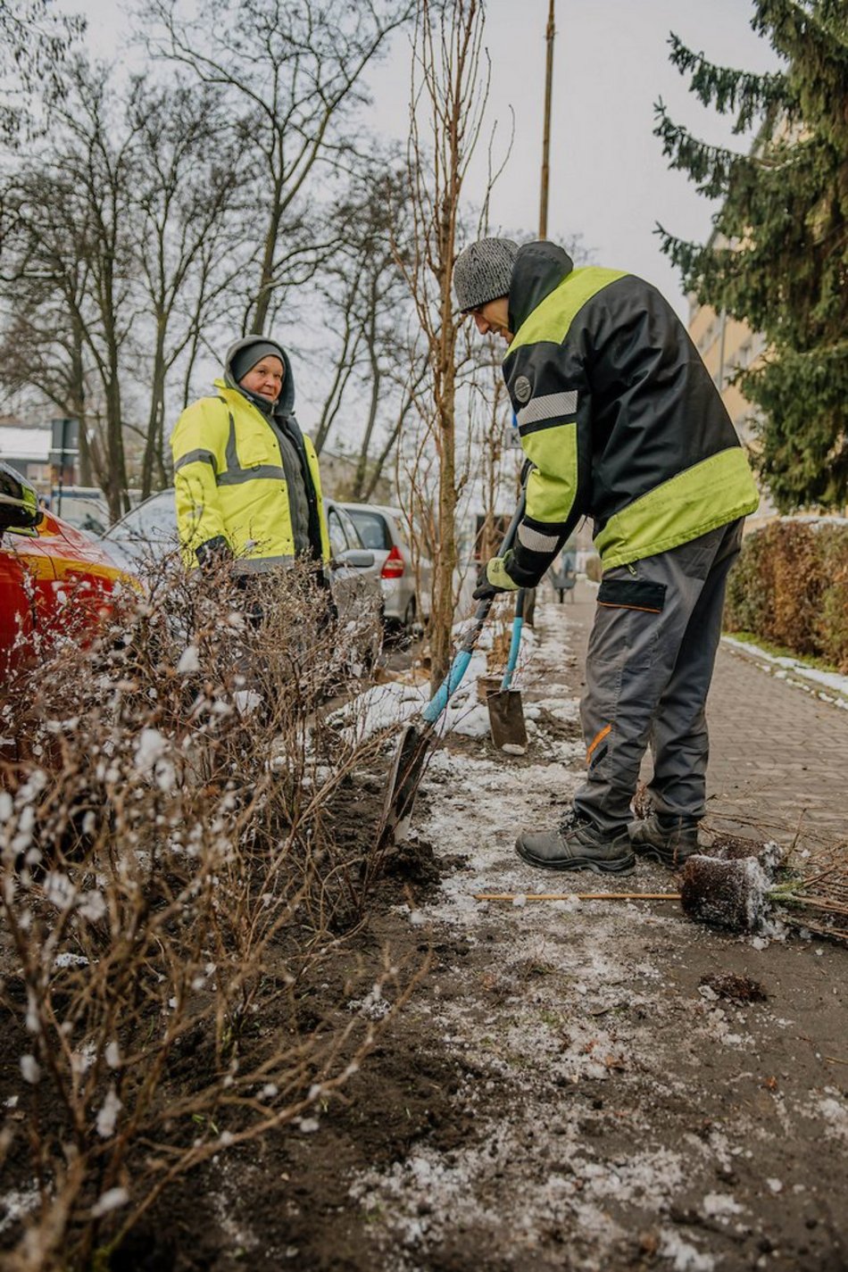 Łódź. Jeszcze więcej zieleni w mieście z ŁBO