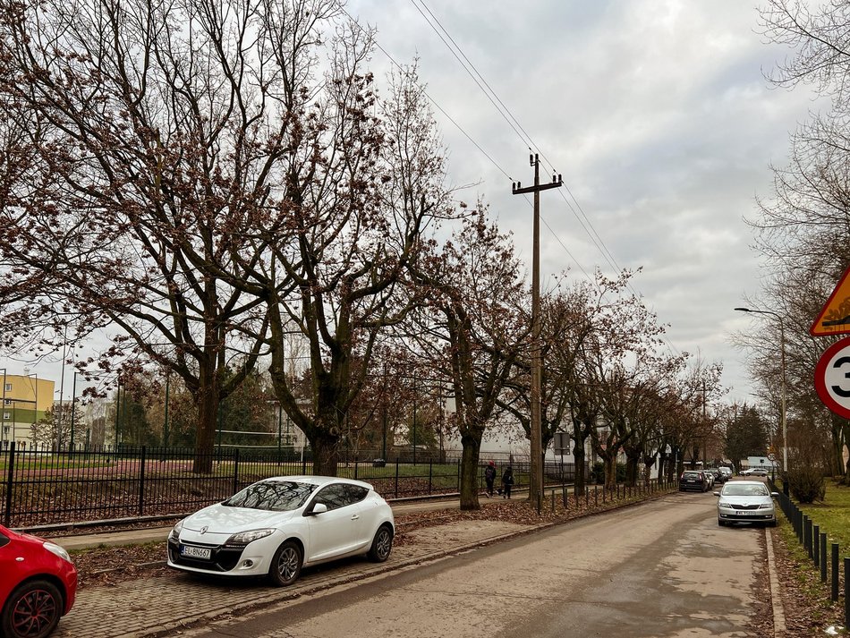Ulica Socjalna. Drzewa zniszczone przez PGE