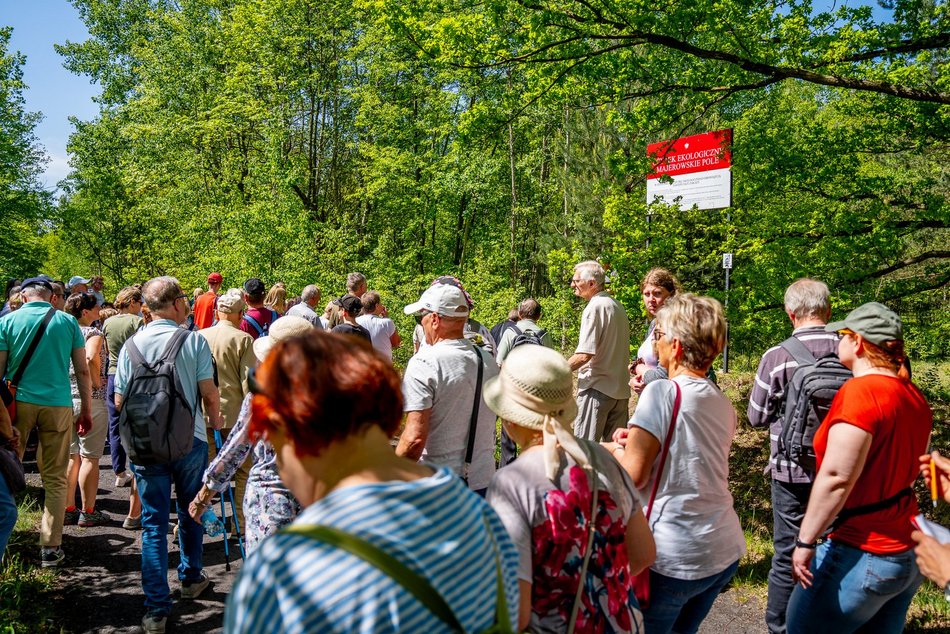 grupa ludzi spaceruje w naturze