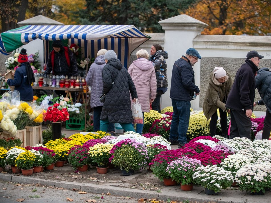 Trwa kwesta na Starym Cmentarzu w Łodzi