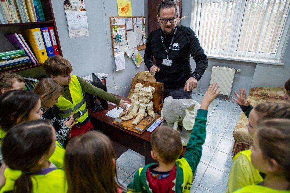 Łódź. Zapisz dziecko na ferie zimowe 2026 w Łodzi. Zostały wolne miejsca na II turnus półkolonii