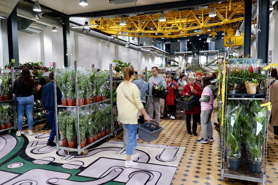 Łódź. Przyjdź na Festiwal Roślin w EC1 Łódź! Nowe gatunki, okazy kolekcjonerskie i więcej
