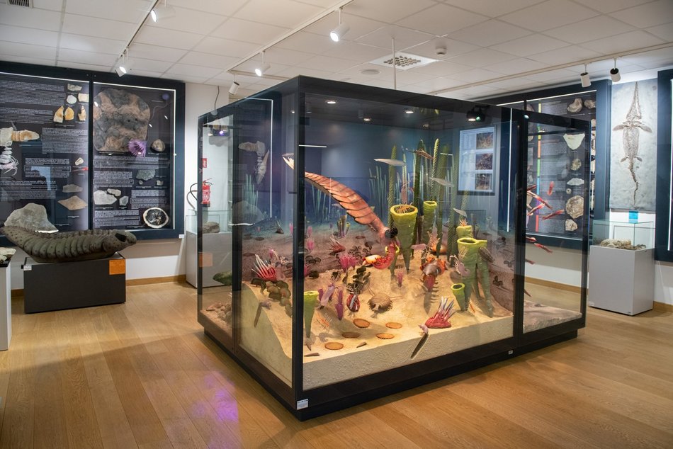 Łódź. Odkryj Muzeum Przyrodnicze w Łodzi. To niezwykły świat zwierząt, dinozaurów, tajemnic natury i przygód!