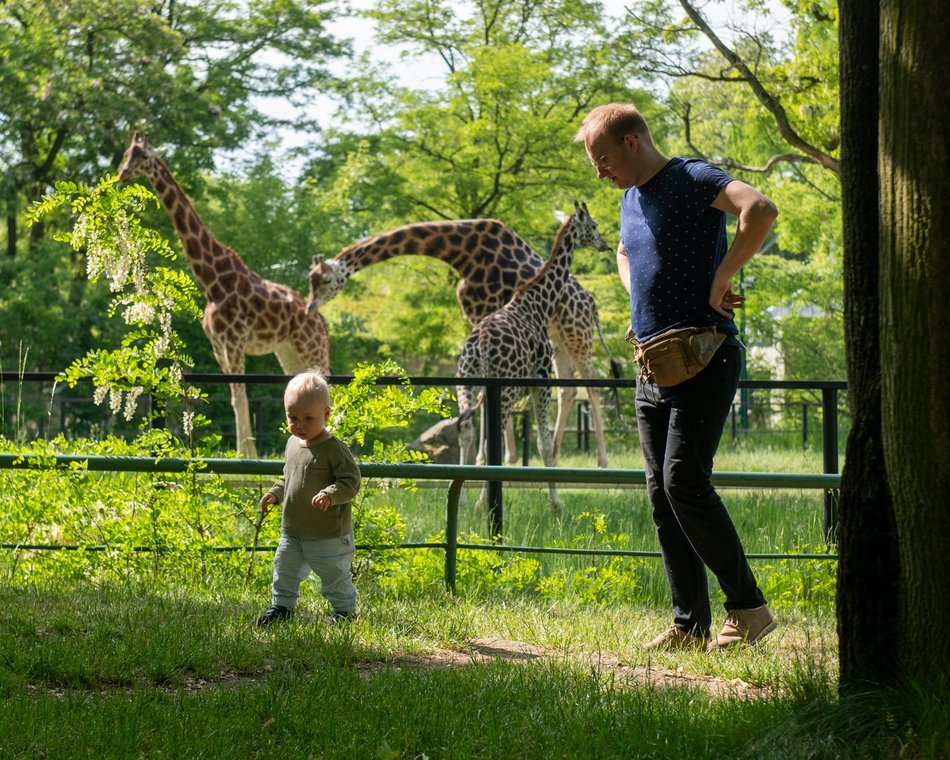 Łódź. Dzień Dziecka w Orientarium Zoo Łódź. Tylu atrakcji tam jeszcze nie było!
