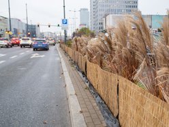 Osłony na rośliny w Łodzi