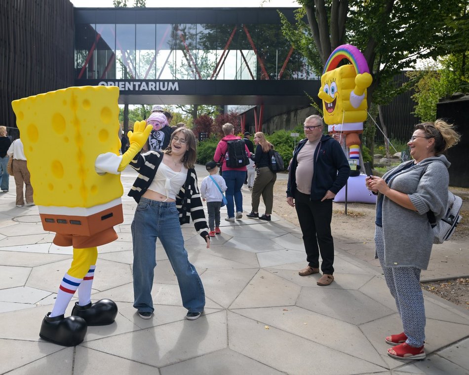 Spongebob w Orientarium Zoo Łódź