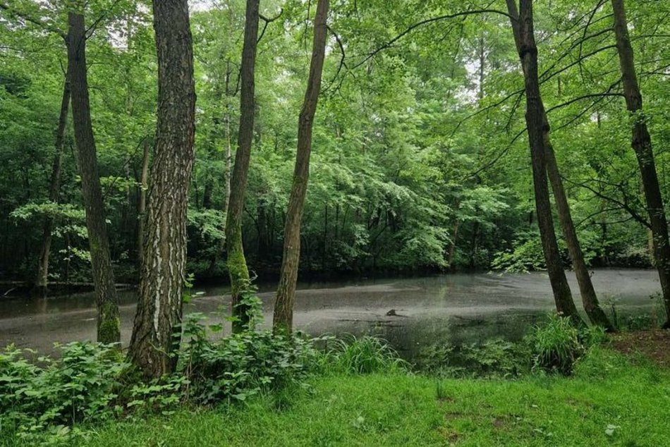 Łódź. To nie Mazury to Łódź. Gdzie znaleźć te wyjątkowe kładki?