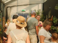 Łódź. Motyle z tropików na długi weekend. Kolorowa wystawa w Palmiarni