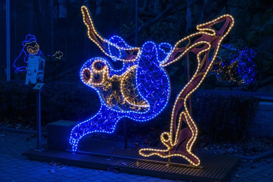 Park Miliona Świateł w Łodzi otwarty! Magiczne zwierzęta opanowały Orientarium Zoo Łódź
