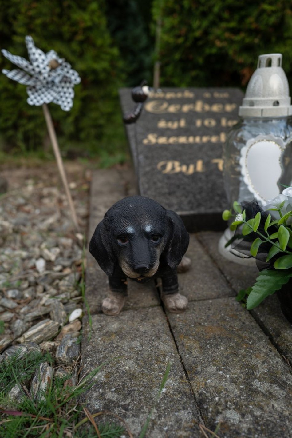 Cmentarz dla zwierząt w Łodzi
