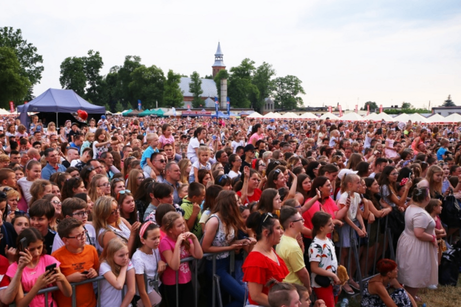 Łódź. X krajowe Święto Truskawki w Buczku