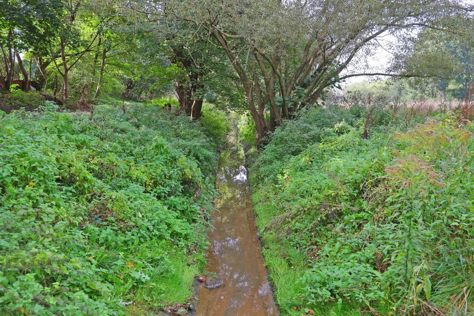 [Translate to Ukraiński:] Łódź. Spacer korytem Jasienia