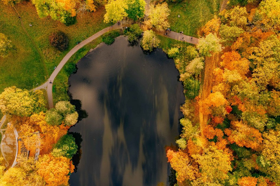 Łódź. Jesienna Łódź z lotu ptaka. Te zdjęcia zapierają dech w piersiach