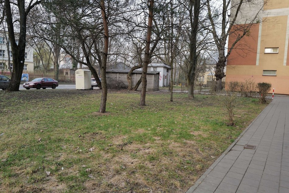 Łódź. Ulica Skrzywana w Łodzi będzie jeszcze zieleńsza! Nowy skwer w ramach Budżetu Obywatelskiego Łódź