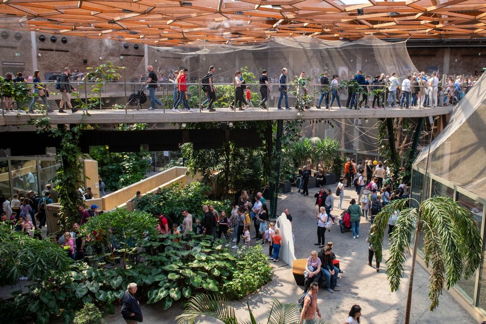 Łódź. Świąteczne warsztaty w Orientarium Zoo Łódź. Zrób własny las w szkle!