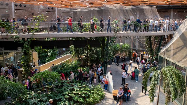 Святкові майстер-класи в Orientarium Zoo Łódź. Створи власний ліс у склі