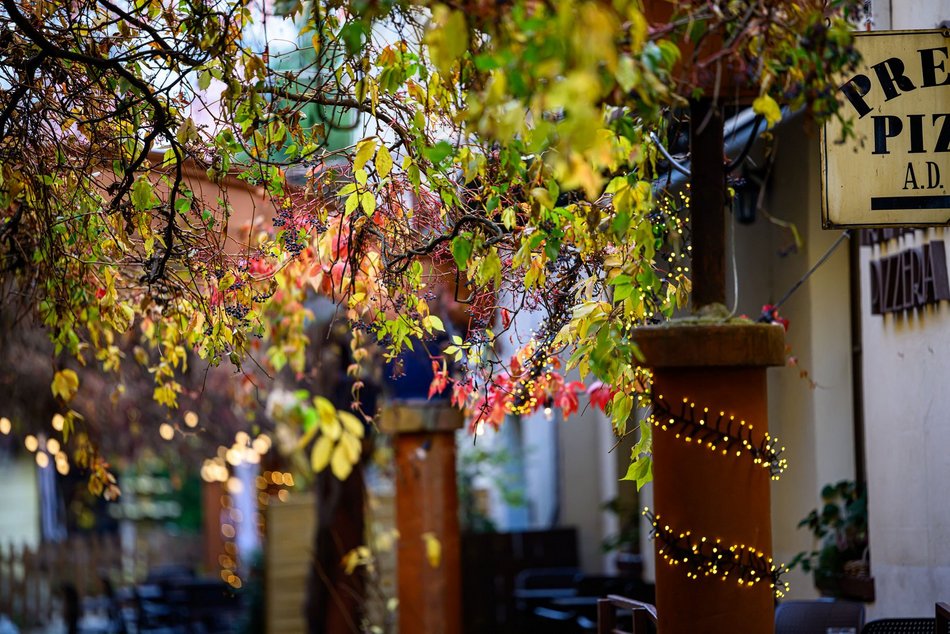 Najpiękniejsze jesienne podwórko w Łodzi? Zajrzyj na Piotrkowską 67!