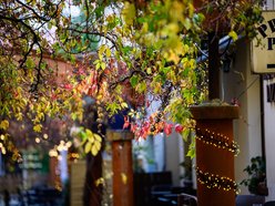 Najpiękniejsze jesienne podwórko w Łodzi? Zajrzyj na Piotrkowską 67!