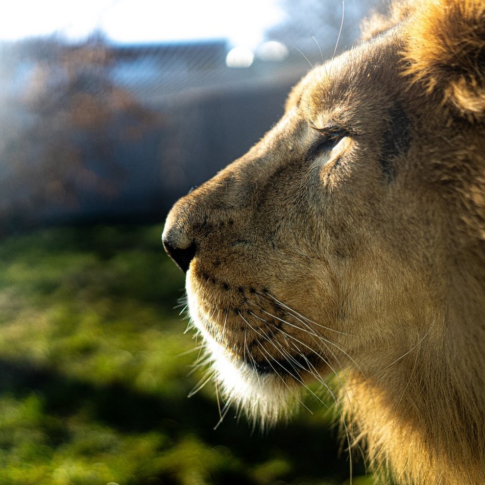 Dzień wagarowicza, Orientarium Zoo Łódź