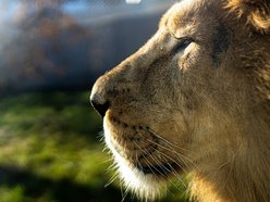 Dzień wagarowicza, Orientarium Zoo Łódź