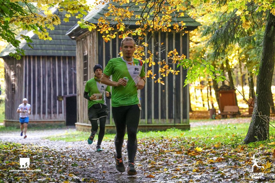 biegacze w lesie