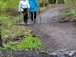 senirozy lodz nodic walking