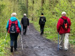 senirozy lodz nodic walking