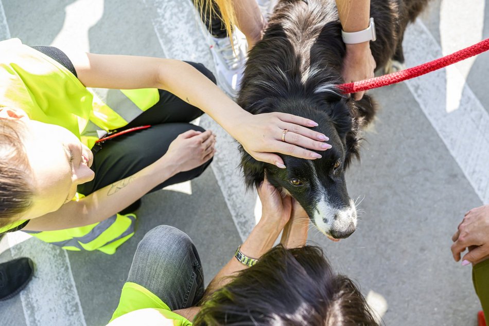 Łódź. Falco z lotniska w Łodzi przeszedł na emeryturę
