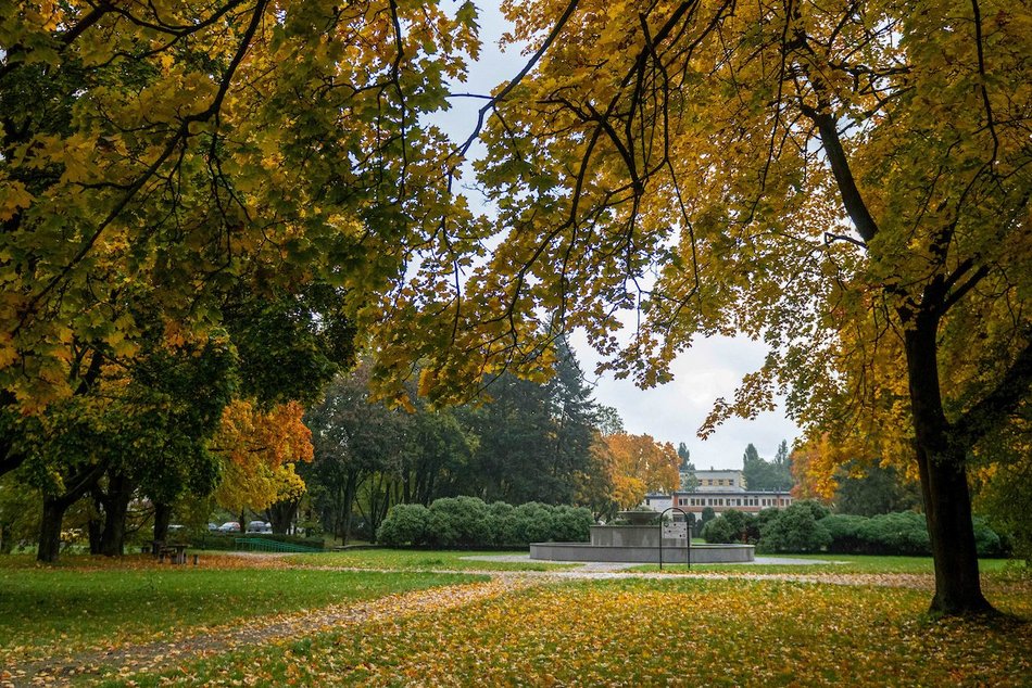 Łódź. Jesienne kadry z parków