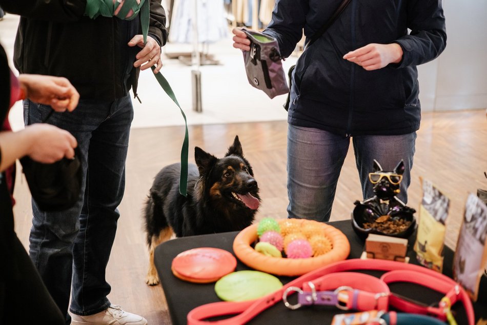 Targi mody i rękodzieła w Manufakturze. Zobacz zdjęcia i biegnij upolować perełki!