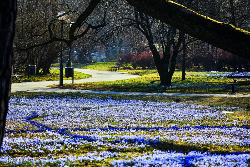 Gdzie w Łodzi najlepiej uczyć się do matury? Koniecznie zapisz te adresy
