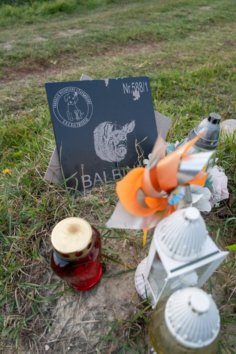 Cmentarz dla zwierząt w Łodzi