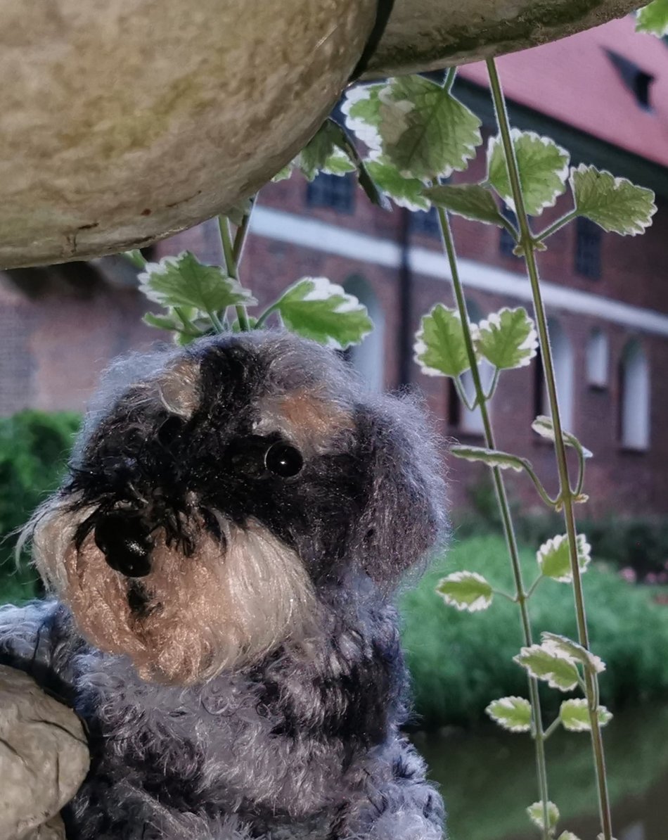 Elkapentelka - szydełkowe portrety zwierząt