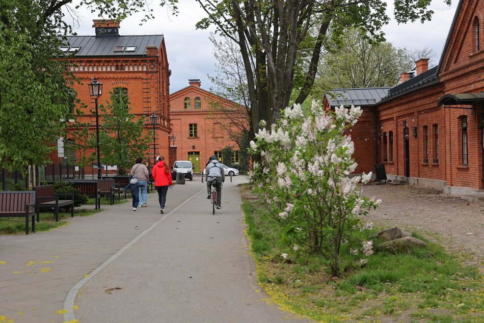 Łódź. Koci Szlak na Księżym Młynie