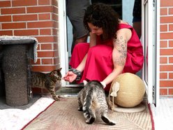 Łódź. Kocia przystań na Księżym Młynie w Łodzi