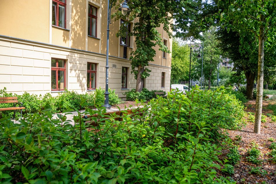 Wracamy na Mielczarskiego w Łodzi po remoncie. Ulica zachwyca zielenią i... spokojem!