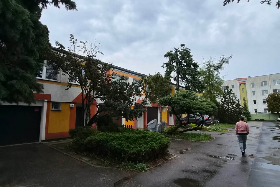 Łódź. Ukryte domki pomiędzy blokami w Łodzi. Niby Zarzew, a jak nadmorski kurort!