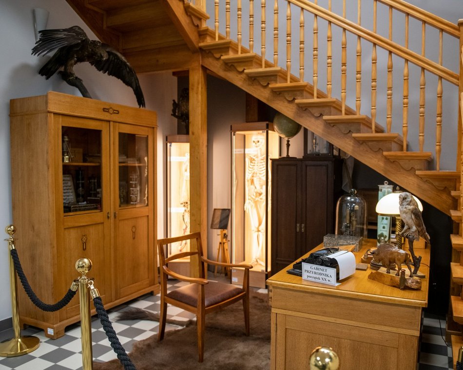 Łódź. Odkryj Muzeum Przyrodnicze w Łodzi. To niezwykły świat zwierząt, dinozaurów, tajemnic natury i przygód!