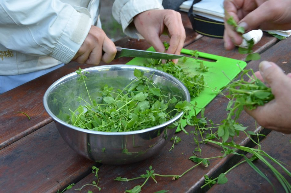 Łódź. Akademia Różnorodności w Ogrodzie Botanicznym w Łodzi. W planie warsztaty i relaksujący spacer