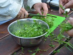 Łódź. Akademia Różnorodności w Ogrodzie Botanicznym w Łodzi. W planie warsztaty i relaksujący spacer