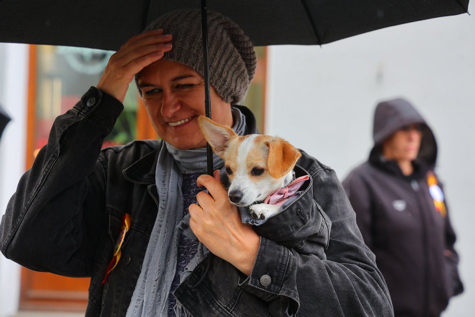 Parada kundelków w Łodzi 2025 przeszła ulicami. Skala słodyczy wysoka jak nigdy!