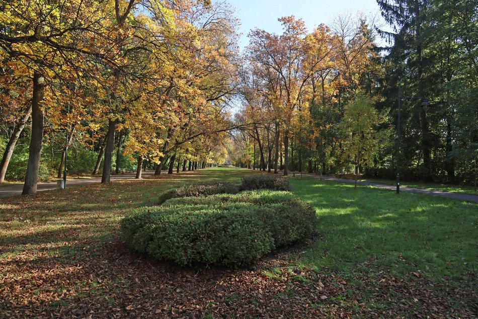 Łódź. Park na Zdrowiu