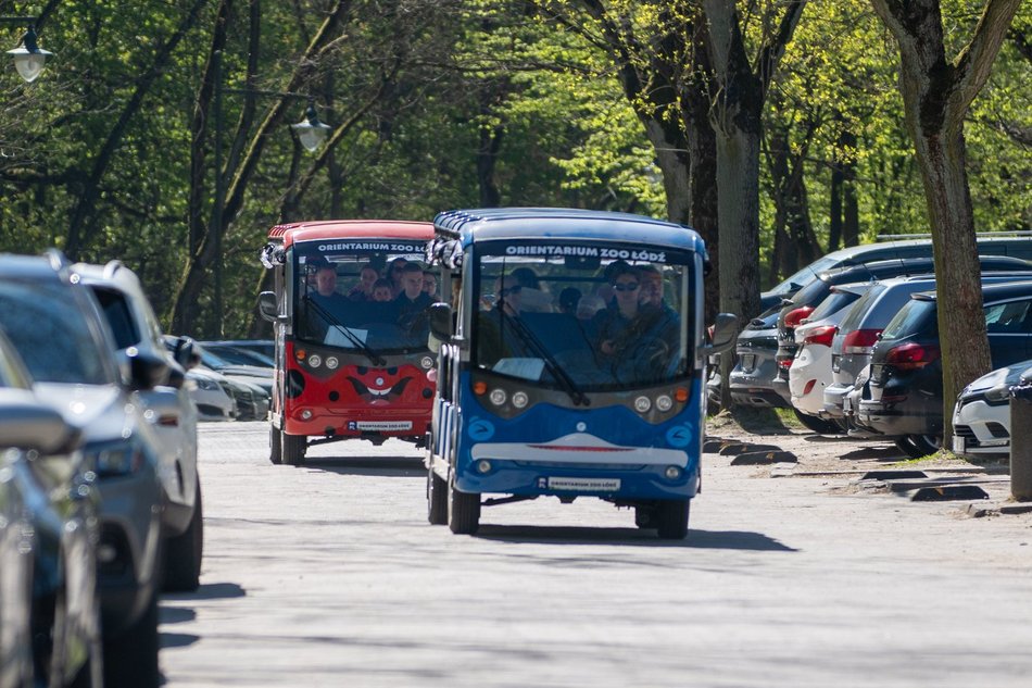 Łódź. Meleksami do atrakcji! Dojedziesz nimi do Orientarium Zoo Łódź, Aquaparku Fala i Atlas Areny!