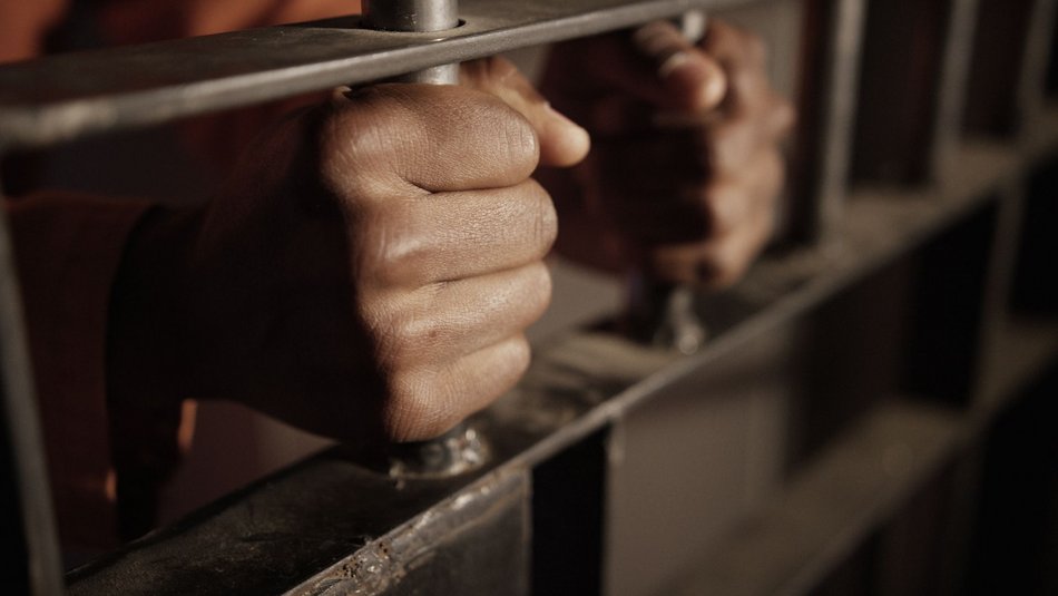 fot. Envato Elements